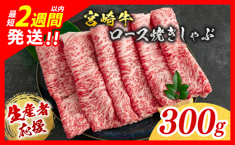 生産者応援 数量限定 宮崎牛 ロース 焼きしゃぶ 計300g 牛肉 ビーフ 黒毛和牛 ミヤチク 国産 ブランド牛 食品 おかず おすすめ 贅沢 イベント お取り寄せ グルメ パック数が選べる 送料無料_MPBB1-24