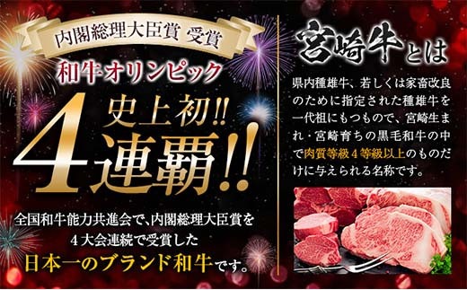 数量限定 宮崎牛 肩バラ スライス 計1kg 肉 牛 牛肉 バラ 黒毛和牛 国産 おかず 食品 すき焼き 送料無料_MPCA2-24