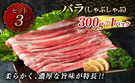 数量限定 豚肉 6種 盛り合わせ セット 合計4.1kg 国産 食品 豚バラ 豚ロース モモ スライス 小間切れ とんかつ 人気 おかず 焼肉 しゃぶしゃぶ 詰め合わせ 万能食材 グルメ 食べ比べ ミヤチク 宮崎県 日南市 送料無料 _MPCA3-24