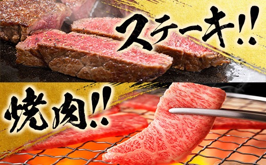赤身肉の4か月定期便 数量限定 黒毛和牛 赤身 牛肉 お楽しみ 定期便 総重量1.7kg 肉 焼肉 ステーキ すき焼き しゃぶしゃぶ スライス ブロック 牛丼 赤身もも 国産 食品 おかず 高級 BBQ バーベキュー おすすめ 食べ比べ 宮崎県 日南市 送料無料_MPGH2-25