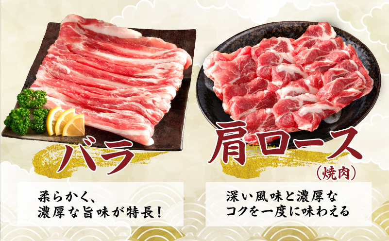 数量限定 豚肉 5種 盛り合わせ セット 合計3.7kg 豚 小分け 豚バラ 豚ロース 豚こま 国産 食品 人気 おかず 焼肉 しゃぶしゃぶ 豚丼 食べ比べ 料理に大活躍 使い勝手抜群 ミヤチク 送料無料_MPCA8-26