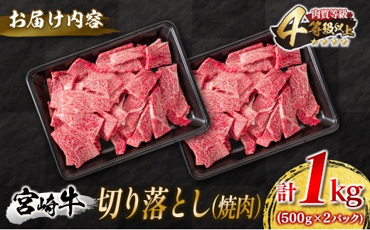 宮崎牛 切り落とし 焼肉 計1kg 牛肉 国産 食品 おかず 黒毛和牛 万能食材 炒め物 ビーフ 人気 おすすめ お取り寄せ グルメ パーティー お祝 記念日 ご褒美 贅沢 高級 ブランド牛 ミヤチク BBQ キャンプ アウトドア グランピング 宮崎県 日南市 送料無料_MPDA4-24