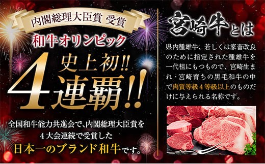 4か月 お楽しみ 定期便 宮崎牛 すき焼き バラエティ セット 総重量2.4kg 肉 牛 牛肉 黒毛和牛 国産 おかず しゃぶしゃぶ 食品 送料無料_MPJB1-24