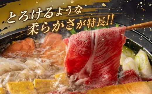 数量限定 宮崎牛 ステーキ スライス セット 合計600g 牛肉 ビーフ 黒毛和牛 国産 食品 ミヤチク サーロイン ロース ブランド牛 すき焼き しゃぶしゃぶ おすすめ おかず 贅沢 ご褒美 お祝い 記念日 ギフト 贈り物 プレゼント 贈答 お取り寄せ グルメ 送料無料_MPDA3-24