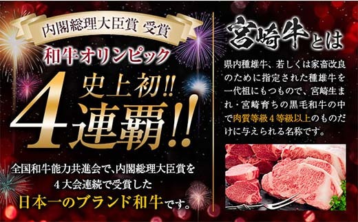 数量限定 宮崎牛 ステーキ スライス セット 合計600g 牛肉 ビーフ 黒毛和牛 国産 食品 ミヤチク サーロイン ロース ブランド牛 すき焼き しゃぶしゃぶ おすすめ おかず 贅沢 ご褒美 お祝い 記念日 ギフト 贈り物 プレゼント 贈答 お取り寄せ グルメ 送料無料_MPDA3-24