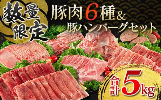 数量限定 豚肉 6種 豚ハンバーグ セット 合計5kg ポーク 国産 ミヤチク スライス 小間切れ 豚ウデ 豚モモ 豚バラ 豚ロース 万能食材 大容量 小分け おかず お弁当 おつまみ 食品 生姜焼き 炒め物 ご褒美 お祝い 記念日 お取り寄せ 詰め合わせ 送料無料_MPDA2-24