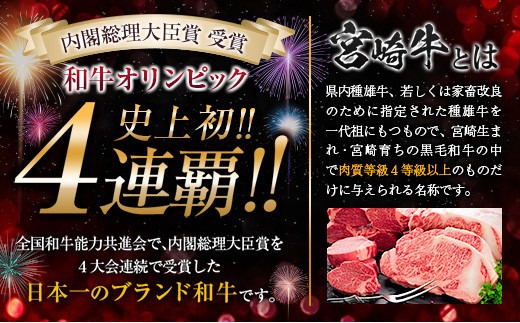 数量限定 5等級 宮崎牛 サーロイン ステーキ 計400g 牛肉 ビーフ 黒毛和牛 ブランド牛 国産 ミヤチク おかず 食品 グルメ 焼肉 鉄板焼き 上質 高級 贅沢 ご褒美 お祝 記念日 おすすめ 人気 ギフト お土産 贈り物 贈答 お取り寄せ 宮崎県 日南市 送料無料_MPCD2-24