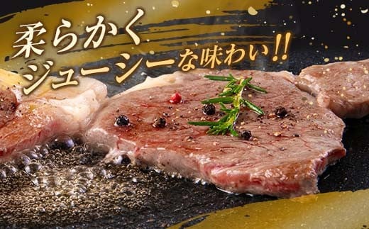 数量限定 宮崎牛 ステーキ スライス セット 合計600g 牛肉 ビーフ 黒毛和牛 国産 食品 ミヤチク サーロイン ロース ブランド牛 すき焼き しゃぶしゃぶ おすすめ おかず 贅沢 ご褒美 お祝い 記念日 ギフト 贈り物 プレゼント 贈答 お取り寄せ グルメ 送料無料_MPDA3-24