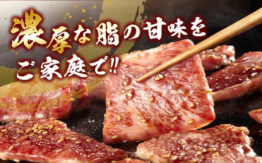 数量限定 宮崎牛 3種 お試し 焼肉 セット 合計900g 牛肉 ビーフ 肩ロース バラ モモ 黒毛和牛 ミヤチク 国産 ブランド牛 食品 高級 贅沢 上質 ご褒美 バーベキュー BBQ 鉄板焼き お祝 詰め合わせ お取り寄せ グルメ おかず おすすめ 宮崎県 日南市 送料無料_MPDB3-25