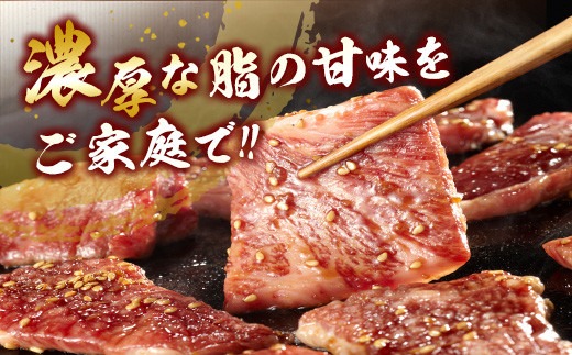 数量限定 宮崎牛 3種 お試し 焼肉 セット 合計900g 牛肉 ビーフ 肩ロース バラ モモ 黒毛和牛 ミヤチク 国産 ブランド牛 食品 高級 贅沢 上質 ご褒美 バーベキュー BBQ 鉄板焼き お祝 詰め合わせ お取り寄せ グルメ おかず おすすめ 宮崎県 日南市 送料無料_MPD2-24