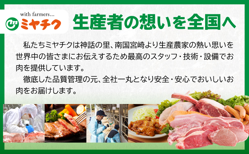 【畜産農家応援】数量限定 厳選 宮崎牛 赤身 スライス 計800g 牛肉 国産 すき焼き BBQ 人気 黒毛和牛 肩ウデ モモ しゃぶしゃぶ A4 A5 等級 ギフト 贈答 小分け 食品 選べる ミヤチク 宮崎県 日南市 送料無料_MPC7-26