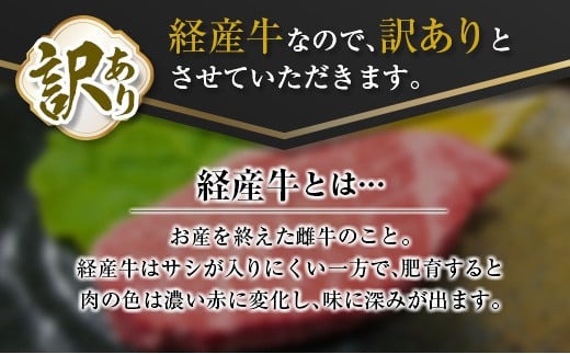 訳あり 数量限定 黒毛和牛 ヒレ ステーキ 計360g 牛肉 ビーフ 赤身肉 希少 国産 ミヤチク ご褒美 お祝 記念日 食品 焼肉 鉄板焼き BBQ バーベキュー グランピング おかず おつまみ おすすめ お取り寄せ グルメ フィレ ヘレ 宮崎県 日南市 送料無料_MPD6-25