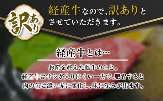 訳あり 数量限定 黒毛和牛 ヒレステーキ 計360g 肉 牛 牛肉 国産 ステーキ ヒレ 食品 焼肉 送料無料_MPCC3-24