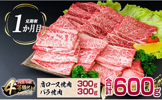 4か月 お楽しみ 定期便 宮崎牛 焼肉 バラエティ セット 総重量2.4kg 肉 牛 牛肉 黒毛和牛 モモ ミスジ イチボ バラ 国産 おかず 食品 BBQ 送料無料_MPIG1-24