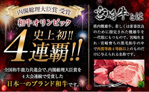 宮崎牛 切り落とし 焼肉 粗挽きウインナー 豚ハンバーグ セット 合計2kg以上 肉 牛 牛肉 国産 おかず 食品 お肉 送料無料_MPFA2-24