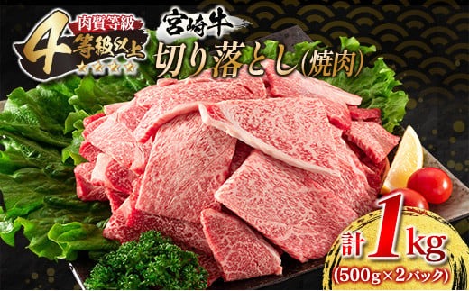 宮崎牛 切り落とし 焼肉 計1kg 牛肉 国産 食品 おかず 黒毛和牛 万能食材 炒め物 ビーフ 人気 おすすめ お取り寄せ グルメ パーティー お祝 記念日 ご褒美 贅沢 高級 ブランド牛 ミヤチク BBQ キャンプ アウトドア グランピング 宮崎県 日南市 送料無料_MPDA4-24