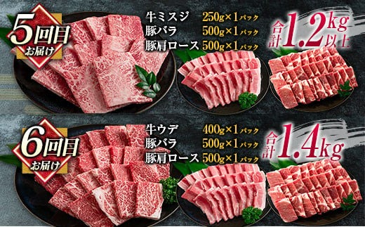 数量限定 6か月 お楽しみ 定期便 宮崎牛 豚肉 焼肉 セット 総重量8kg以上 牛肉 ビーフ ポーク 黒毛和牛 ミヤチク モモ バラ 肩ロース ミスジ ウデ 豚バラ BBQ 鉄板焼き 食べ比べ 国産 食品 おかず お弁当 冷凍 お取り寄せ グルメ 宮崎県 日南市 送料無料_MPM1-25