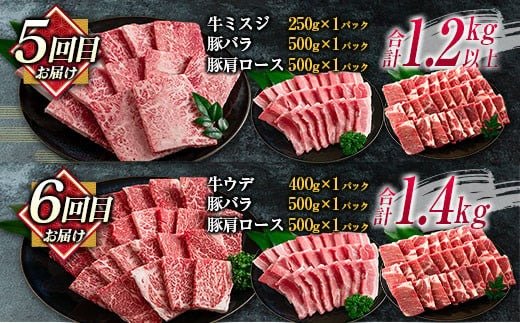 数量限定 6か月 お楽しみ 定期便 宮崎牛 モモ バラ 肩ロース ロース ミスジ ウデ 豚肉 豚バラ 焼肉 食べ比べ セット 総重量8kg以上 肉 牛 豚 国産 宮崎県産 食品 おかず 送料無料_MPKH1-24