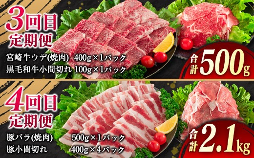 5か月定期便 月替わりで堪能!! 牛肉 豚肉 焼肉 セット 豚バラ 肩ロース モモ ウデ 総重量5.6kg 国産 食品 おかず BBQ バーベキュー 小分け 宮崎牛 黒毛和牛 小間切れ 赤身 A4 A5 高級 グランピング お弁当 おすすめ 人気 宮崎県 日南市 送料無料_MPIH1-25