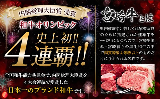 数量限定 6か月 お楽しみ 定期便 宮崎牛 贅沢 満喫 セット 総重量2.5kg 肉 牛 牛肉 黒毛和牛 国産 人気 食品 焼肉 ステーキ 送料無料_MPLH1-24