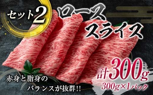 数量限定 宮崎牛 ステーキ スライス セット 合計600g 牛肉 ビーフ 黒毛和牛 国産 食品 ミヤチク サーロイン ロース ブランド牛 すき焼き しゃぶしゃぶ おすすめ おかず 贅沢 ご褒美 お祝い 記念日 ギフト 贈り物 プレゼント 贈答 お取り寄せ グルメ 送料無料_MPDA3-24