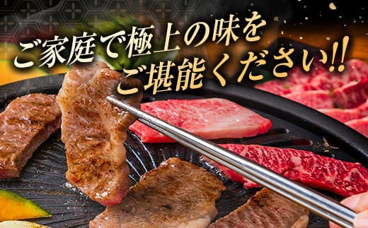 数量限定 6か月 お楽しみ 定期便 宮崎牛 モモ バラ 肩ロース ロース ミスジ ウデ 豚肉 豚バラ 焼肉 食べ比べ セット 総重量8kg以上 肉 牛 豚 国産 宮崎県産 食品 おかず 送料無料_MPKH1-24