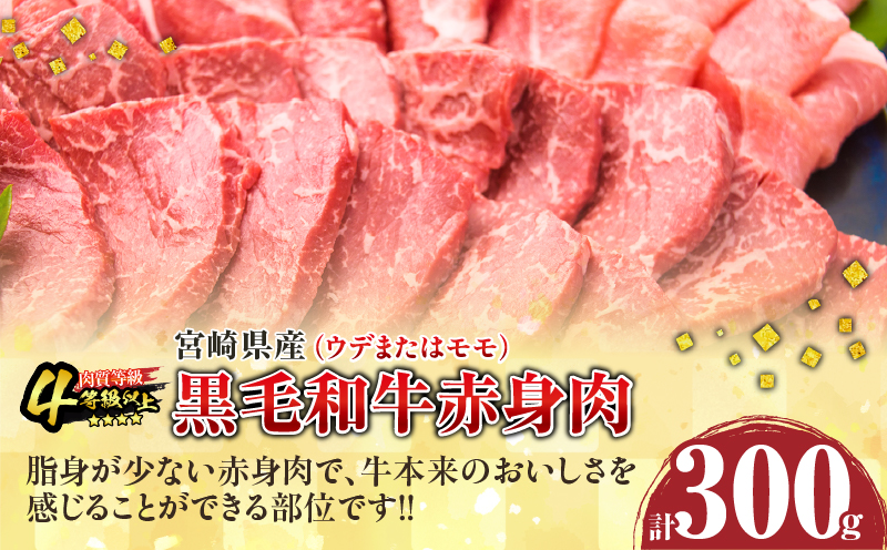 数量限定 黒毛和牛 赤身肉 豚焼肉 食べ比べ セット 合計800g 肉 牛肉 豚肉 国産 ウデ モモ 豚ロース 肩ロース おすすめ おかず お弁当 食品 BBQ バーベキュー キャンプ 晩ご飯 お祝い 記念日 豚丼 ギフト 贈り物 ミヤチク 宮崎県 日南市 送料無料_MPBD2-25