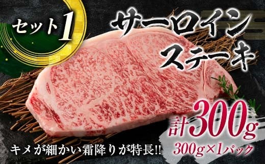 数量限定 宮崎牛 ステーキ スライス セット 合計600g 牛肉 ビーフ 黒毛和牛 国産 食品 ミヤチク サーロイン ロース ブランド牛 すき焼き しゃぶしゃぶ おすすめ おかず 贅沢 ご褒美 お祝い 記念日 ギフト 贈り物 プレゼント 贈答 お取り寄せ グルメ 送料無料_MPDA3-24