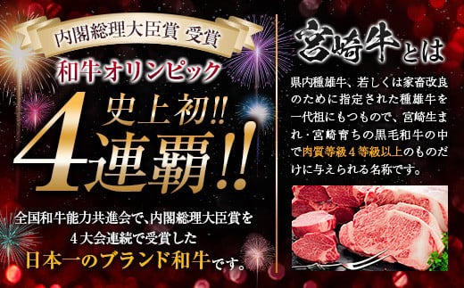 数量限定 最高ランク 5等級 宮崎牛 ロース ステーキ 計500g 牛肉 ビーフ 黒毛和牛 ミヤチク 国産 ブランド牛 食品 おかず ディナー  おすすめ 鉄板焼き 高級 贅沢 上質 ご褒美 お祝 記念日 イベント おもてなし お取り寄せ グルメ 宮崎県 日南市 送料無料_MPD1-24 