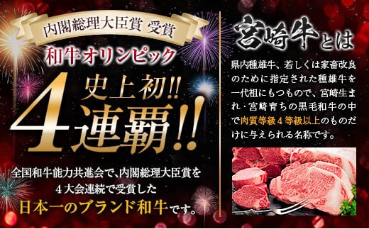 数量限定 宮崎牛 焼肉 プチ 贅沢 セット 合計1.2kg以上 牛肉 ウデ モモ バラ 粗挽き ウインナー 黒毛和牛 ミヤチク 国産 ブランド牛 おかず 食品 BBQ 鉄板焼き 高級 ご褒美 お祝 記念日 ギフト 贈り物 プレゼント お取り寄せ グルメ 宮崎県 日南市 送料無料_MPEA1-24