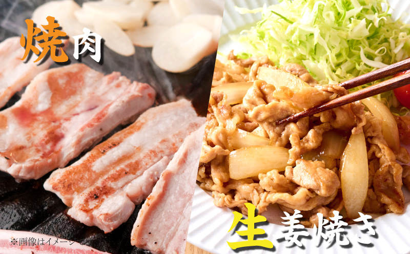 数量限定 豚肉 5種 盛り合わせ セット 合計3.7kg 豚 小分け 豚バラ 豚ロース 豚こま 国産 食品 人気 おかず 焼肉 しゃぶしゃぶ 豚丼 食べ比べ 料理に大活躍 使い勝手抜群 ミヤチク 送料無料_MPCA8-26