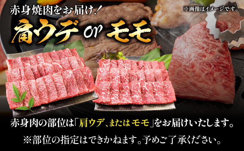 厳選 宮崎牛 赤身 焼肉 計800g 牛肉 国産 焼き肉 BBQ 鉄板焼き バーベキュー 黒毛和牛 肩ウデ モモ 4等級以上 ギフト 贈答 小分け 食品 選べる ミヤチク 宮崎県 日南市 送料無料_MPBD4-26