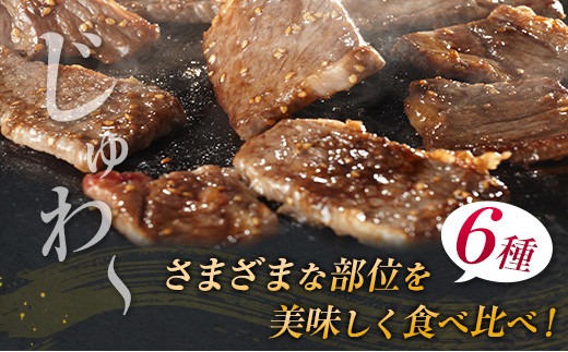 数量限定 宮崎牛 6種 食べ比べ 焼肉 セット 合計600g 牛肉 ビーフ 黒毛和牛 ミヤチク 3D冷凍 国産 ヒレ 肩ロース ウデ バラ モモ ブランド牛 おかず 食品 お取り寄せ グルメ 鉄板焼き 焼き肉 希少部位 上品 高級 贅沢 ご褒美 お祝 宮崎県 日南市 送料無料_MPDA5-24