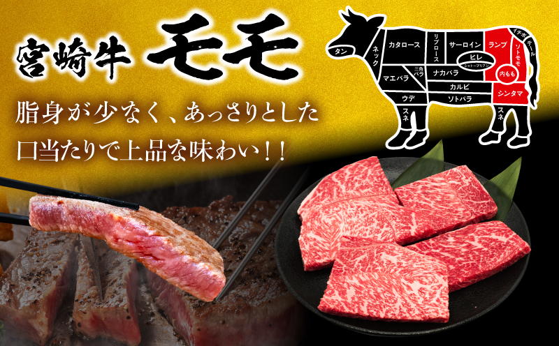 【畜産農家応援】数量限定 厳選 宮崎牛 赤身 ステーキ 計500g 粗挽きウインナー 牛肉 国産 鉄板焼き BBQ バーベキュー 人気 黒毛和牛 モモ A4 A5 等級 ギフト 贈答 小分け 食品 宮崎県 日南市 送料無料_MPBB5-25-ZO