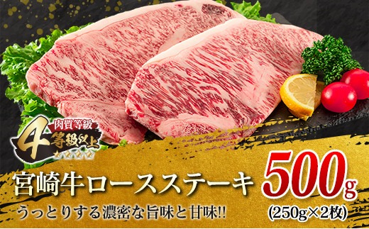 宮崎牛 ロース ステーキ 2枚 豚ハンバーグ 4個 セット 合計900g 牛肉 豚肉 ビーフ ポーク 国産 黒毛和牛 ブランド牛 ミヤチク 食品 惣菜 おかず お弁当 簡単調理 個包装 高級 ご褒美 お祝い 記念日 人気 おすすめ お取り寄せ グルメ 宮崎県 日南市 送料無料_MPDA1-24