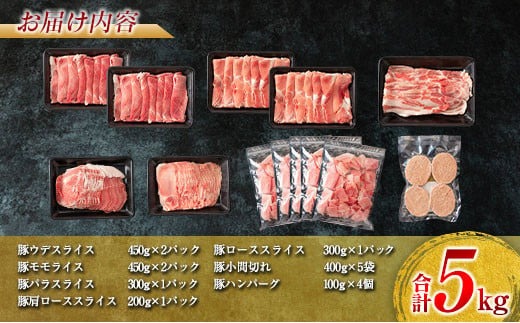 数量限定 豚肉 6種 豚ハンバーグ セット 合計5kg ポーク 国産 ミヤチク スライス 小間切れ 豚ウデ 豚モモ 豚バラ 豚ロース 万能食材 大容量 小分け おかず お弁当 おつまみ 食品 生姜焼き 炒め物 ご褒美 お祝い 記念日 お取り寄せ 詰め合わせ 送料無料_MPDA2-24