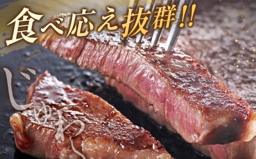 数量限定 黒毛和牛 ロース ステーキ 計800g 牛肉 国産 ビーフ おすすめ グルメ 食品 贅沢 ディナー おかず 晩ご飯 食べ応え 赤身 焼肉 鉄板焼き BBQ バーベキュー キャンプ グランピング お取り寄せ ミヤチク 宮崎県 日南市 送料無料_MPD3-24