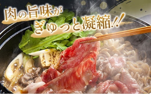 【最短2週間以内で発送】数量限定 宮崎牛 肩ウデ スライス 計500g 肉 牛肉 国産 すき焼き 人気 おすすめ ブランド牛 黒毛和牛 赤身 しゃぶしゃぶ 食品 高級 贅沢 お取り寄せ 小分け ミヤチク おかず 記念日 宮崎県 日南市 送料無料_MPBA3-24-2W