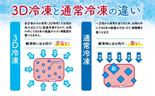 数量限定 宮崎牛 6種 食べ比べ 焼肉 セット 合計600g 牛肉 ビーフ 黒毛和牛 ミヤチク 3D冷凍 国産 ヒレ 肩ロース ウデ バラ モモ ブランド牛 おかず 食品 お取り寄せ グルメ 鉄板焼き 焼き肉 希少部位 上品 高級 贅沢 ご褒美 お祝 宮崎県 日南市 送料無料_MPDA5-24