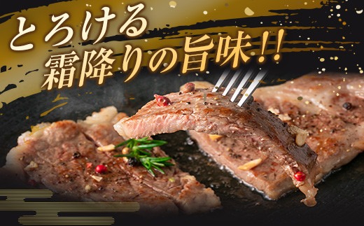 数量限定 5等級 宮崎牛 サーロイン ステーキ 計400g 牛肉 ビーフ 黒毛和牛 ブランド牛 国産 ミヤチク おかず 食品 グルメ 焼肉 鉄板焼き 上質 高級 贅沢 ご褒美 お祝 記念日 おすすめ 人気 ギフト お土産 贈り物 贈答 お取り寄せ 宮崎県 日南市 送料無料_MPCD2-24