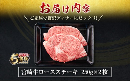 数量限定 最高ランク 5等級 宮崎牛 ロース ステーキ 計500g 牛肉 ビーフ 黒毛和牛 ミヤチク 国産 ブランド牛 食品 おかず ディナー  おすすめ 鉄板焼き 高級 贅沢 上質 ご褒美 お祝 記念日 イベント おもてなし お取り寄せ グルメ 宮崎県 日南市 送料無料_MPD1-24 