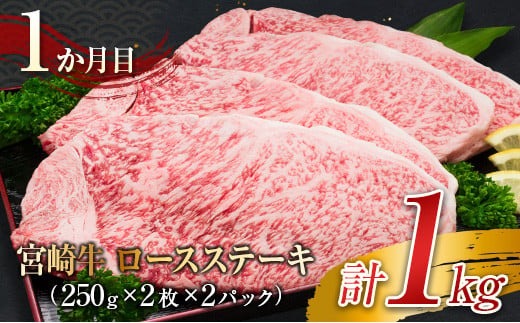 3か月 お楽しみ 定期便 宮崎牛 堪能 セット 合計3kg 肉 牛 牛肉 黒毛和牛 ロース 肩ロース モモ ステーキ しゃぶしゃぶ 国産 おかず 食品 焼肉 送料無料_MPKB1-24