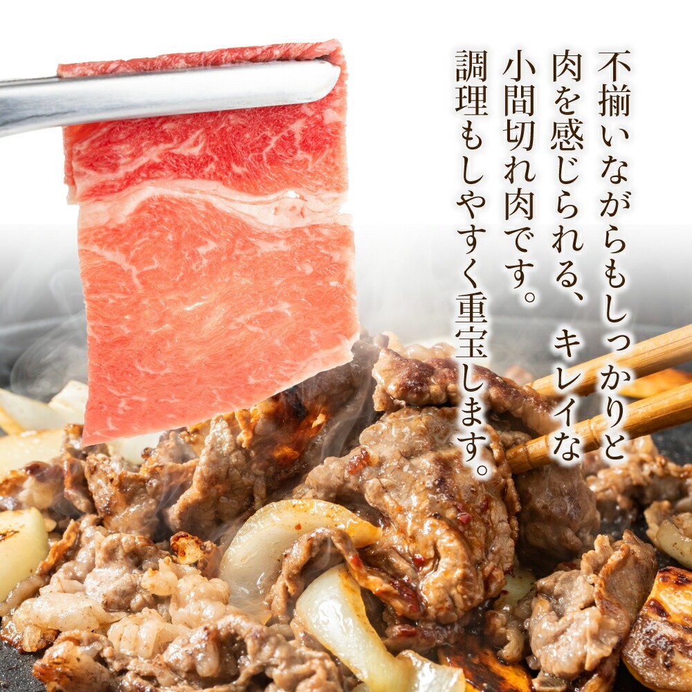 宮崎牛 宮崎県産和牛のセット（合計1.3kg） モモ焼肉 モモ焼きしゃぶ 和牛小間切れ 焼肉 しゃぶしゃぶ BBQ 宮崎県【mMCU13】