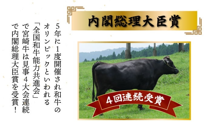 宮崎牛ロースステーキセット 計500g (250ｇ×2)【mKU309】内閣総理大臣賞 和牛 霜降り肉 肩ロース 焼肉 きめ細やか 柔らかい 最高級 コクと旨み 大きな