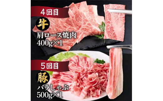 【定期便・全6回】宮崎牛・宮崎県産豚肉 6ヶ月定期便！6.9kg_K030-T002