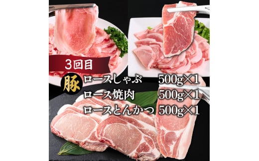【定期便・全6回】宮崎牛・宮崎県産豚肉 6ヶ月定期便！6.9kg_K030-T002