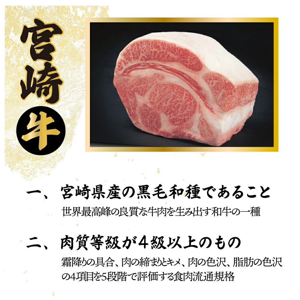 【定期便・全6回】宮崎牛 食べ比べお楽しみバラエティセット 6ヶ月定期便　合計3kg！【mMCT6U-30】