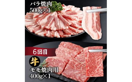 【定期便・全6回】宮崎牛・宮崎県産豚肉 6ヶ月定期便！6.9kg_K030-T002
