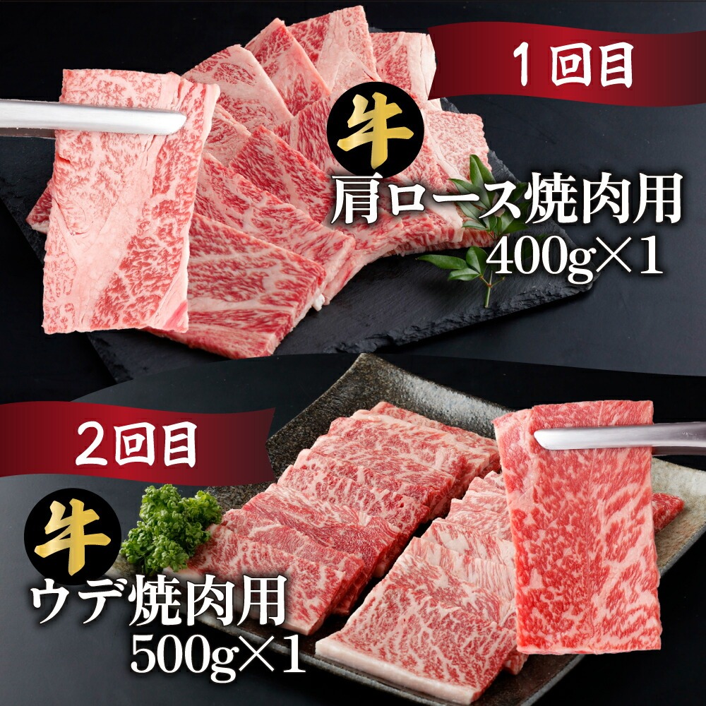 【定期便・全6回】宮崎牛 焼肉 6ヶ月食べ比べお楽しみ定期便！(合計2.6kg）【mMCT6UY26】