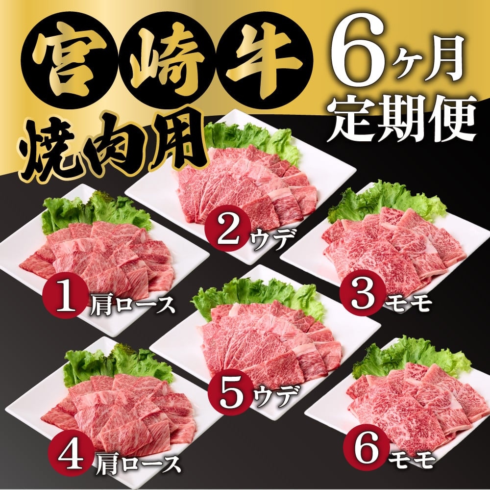 【定期便・全6回】宮崎牛 焼肉 6ヶ月食べ比べお楽しみ定期便！(合計2.6kg）【mMCT6UY26】